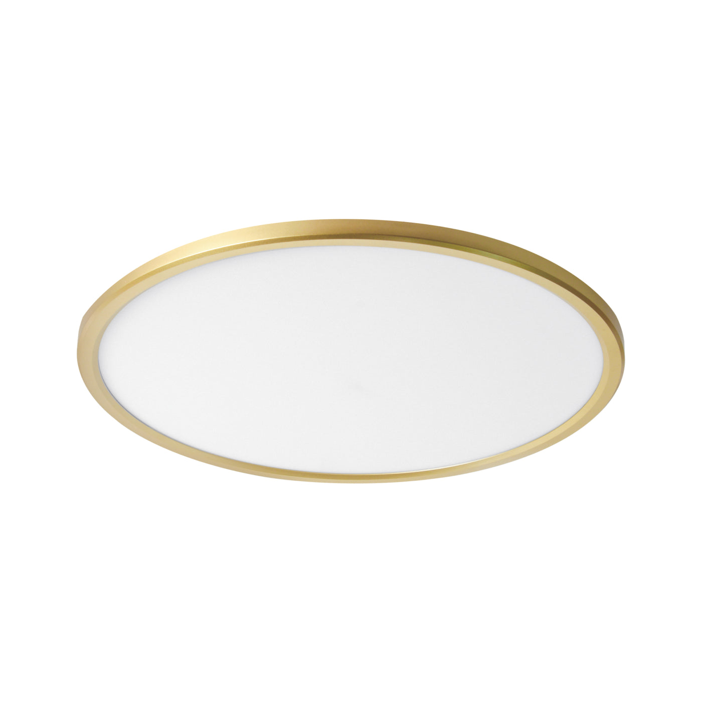 "צמוד תקרה מוגן מים "בוגוטה