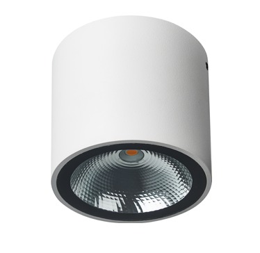 "צמוד תקרה מוגן מים "קאל