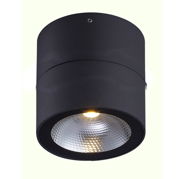 "צמוד תקרה מוגן מים "לביא