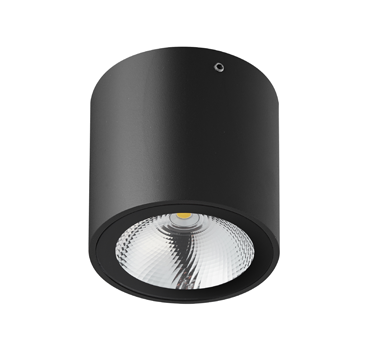 "צמוד תקרה מוגן מים "קאל