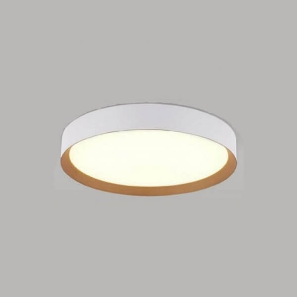 "צמוד תקרה "דורין