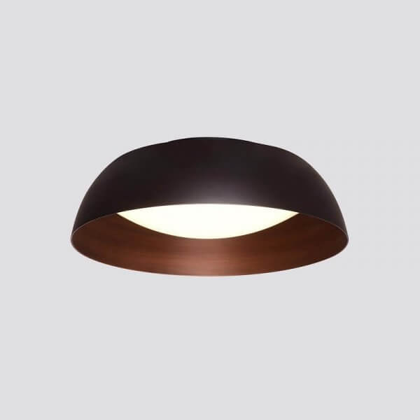 "צמוד תקרה "משה